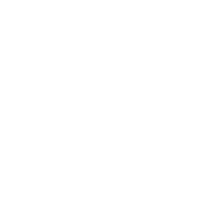 Google customer rating badge icon